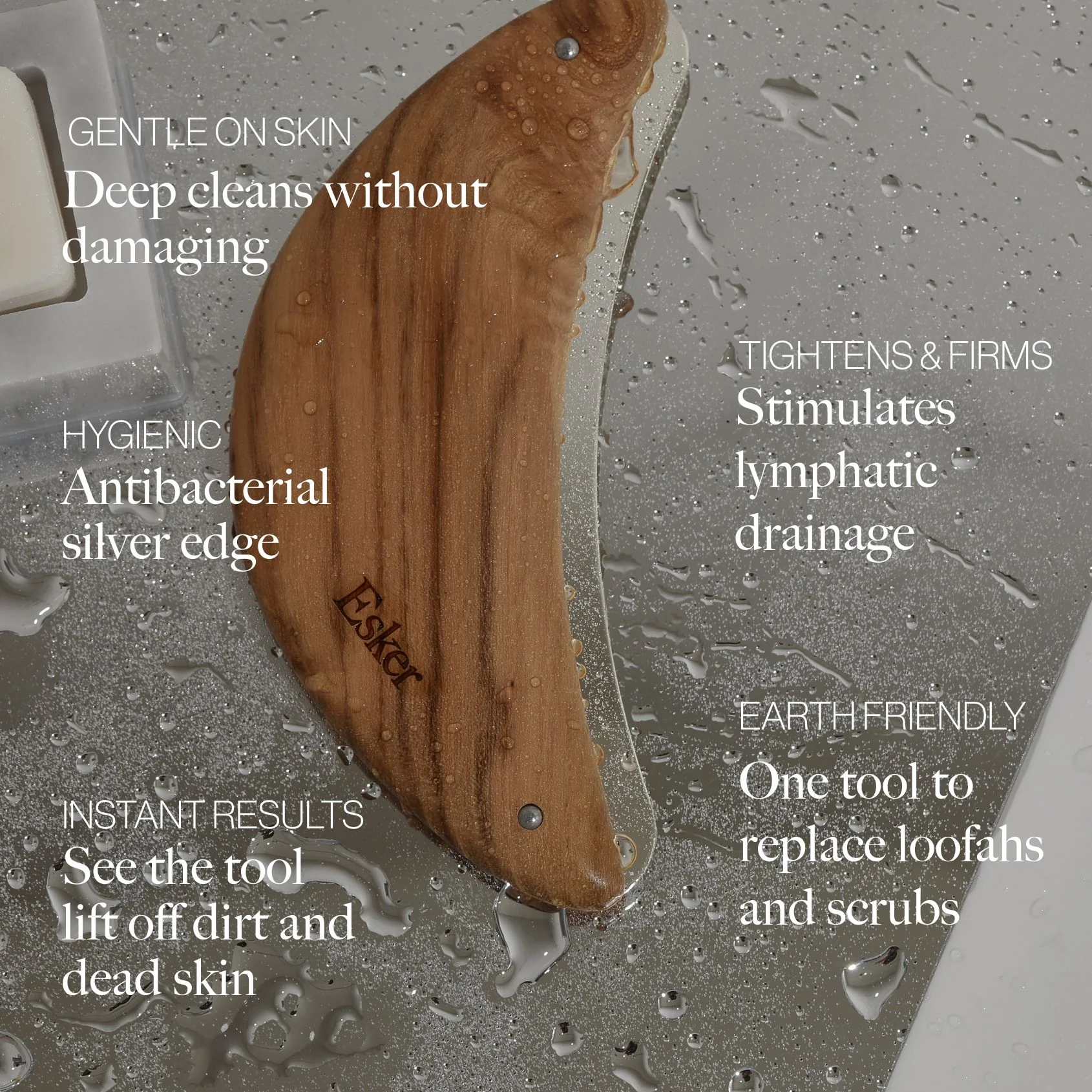 Body Plane - Image 3
