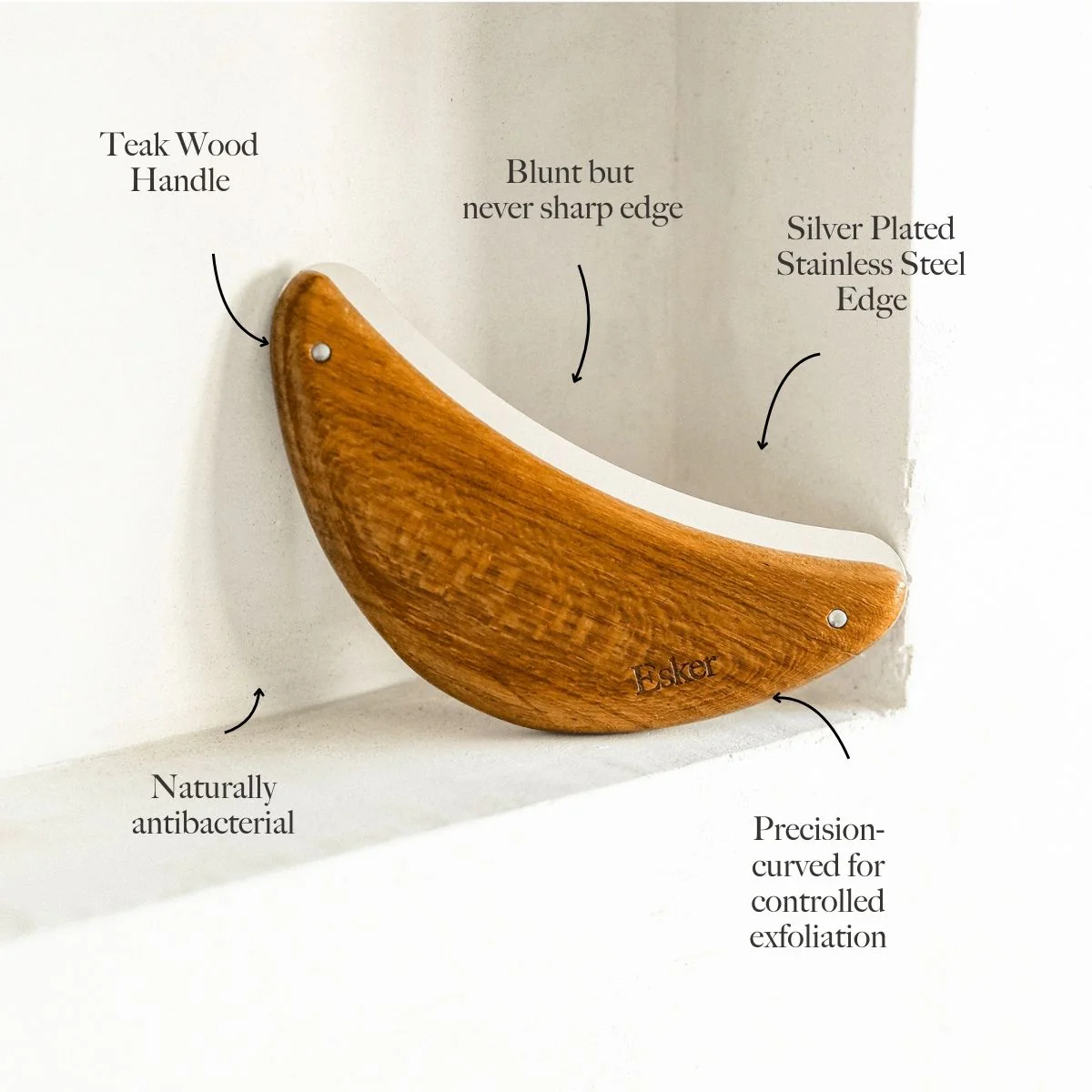 Body Plane - Image 4