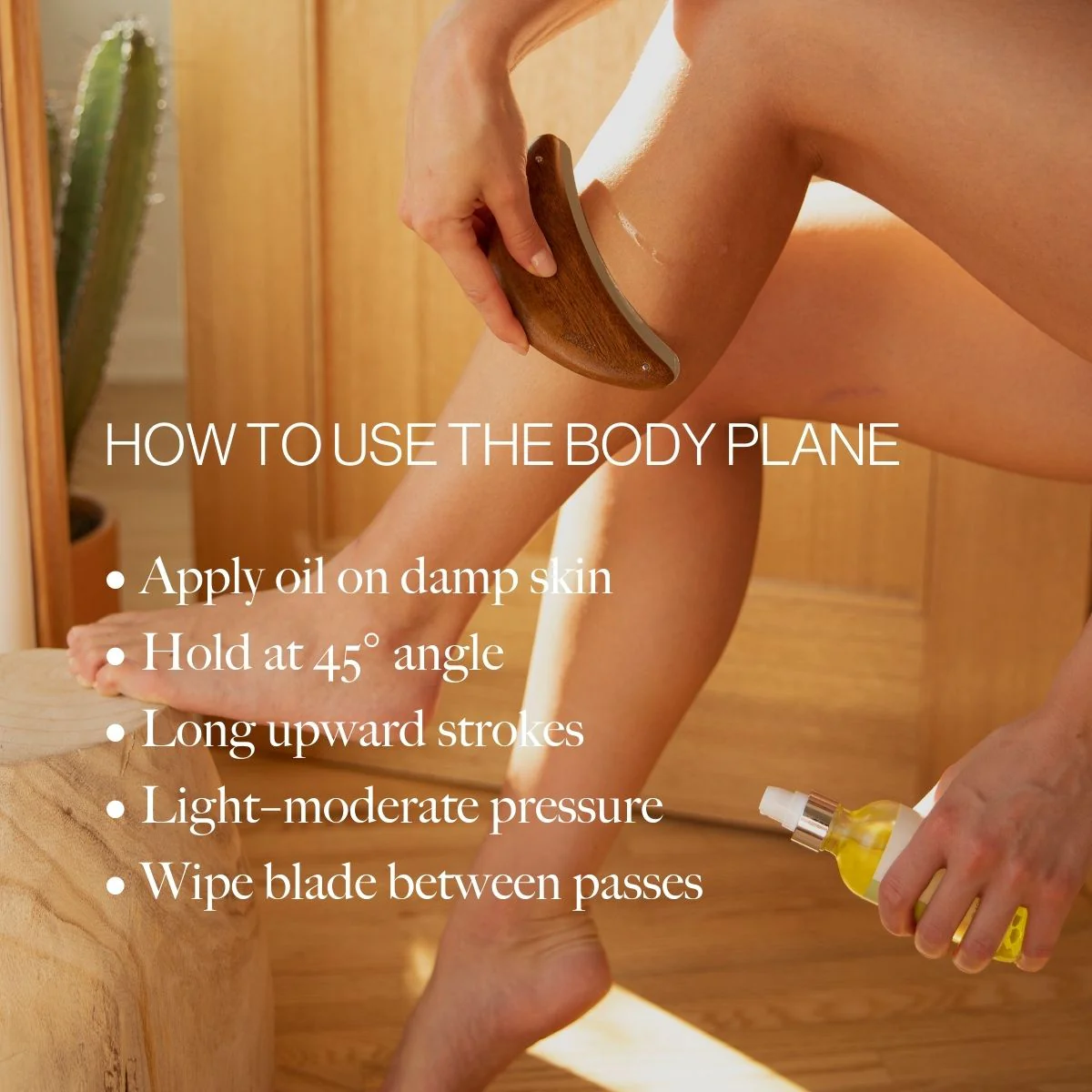 Body Plane - Image 9