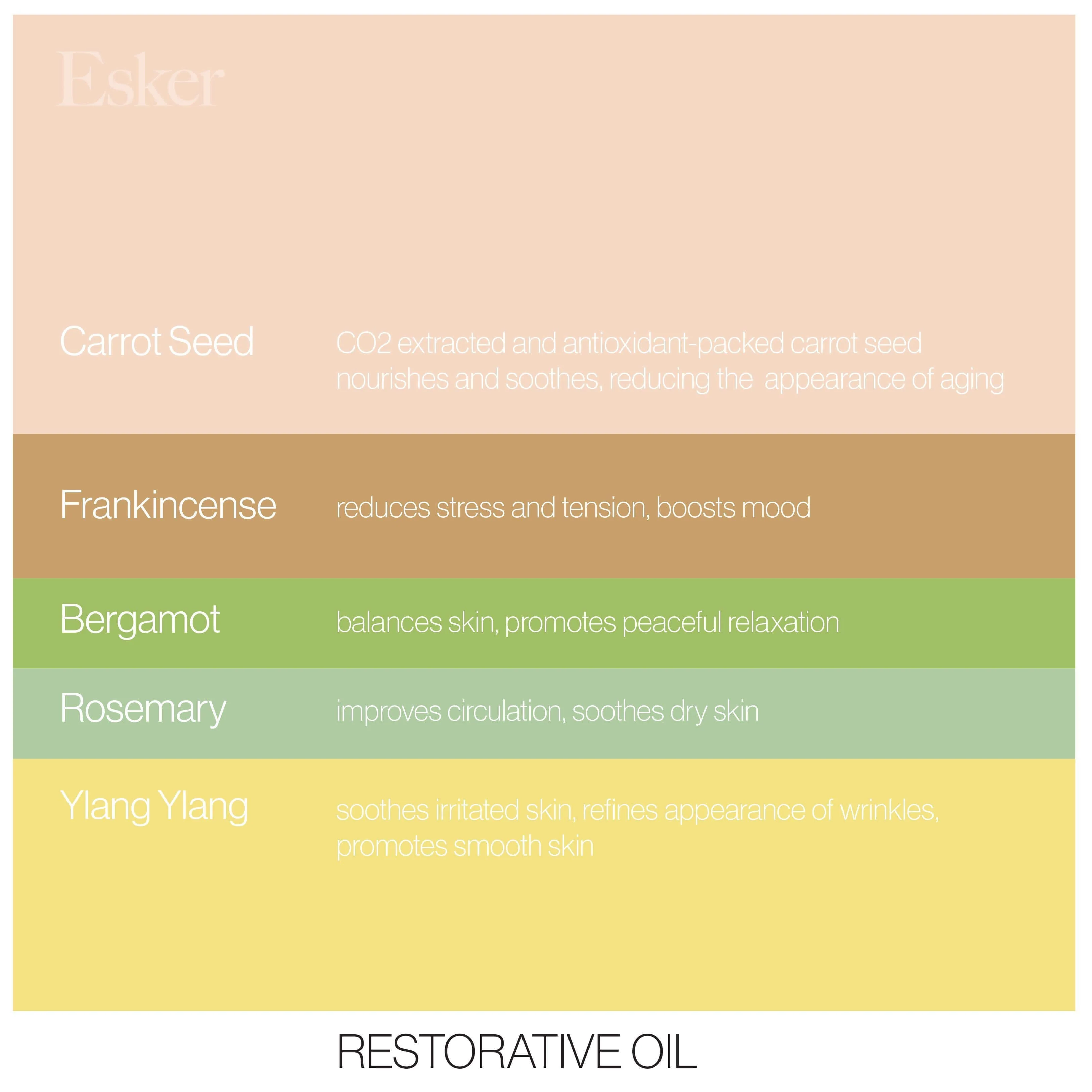 Restorative Set - Image 5