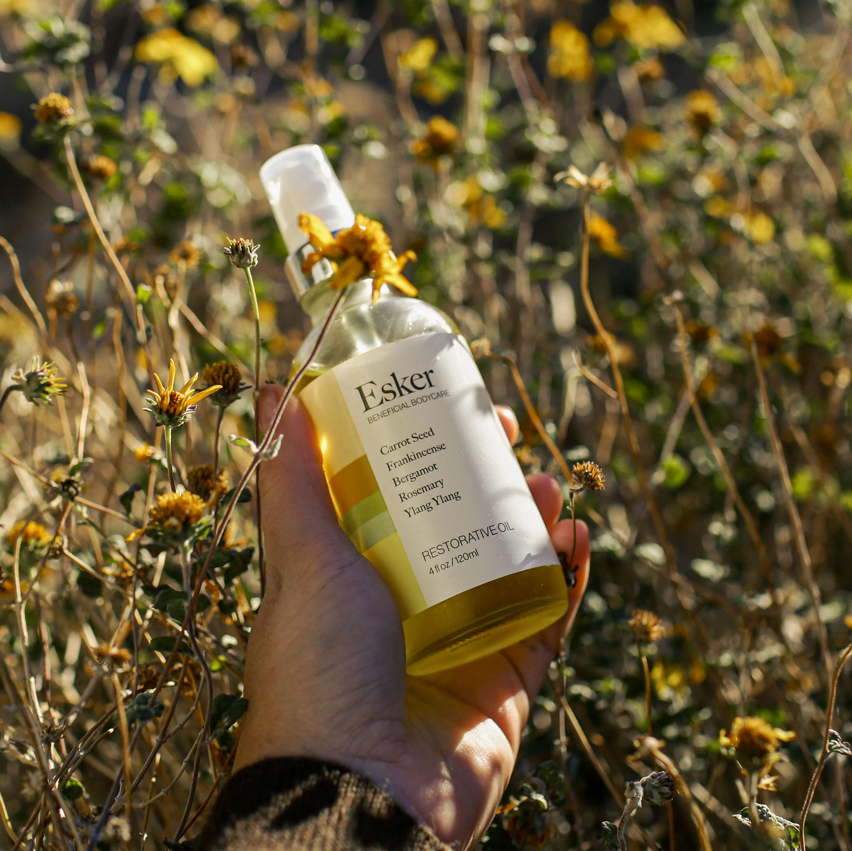Restorative Body Oil - Image 5